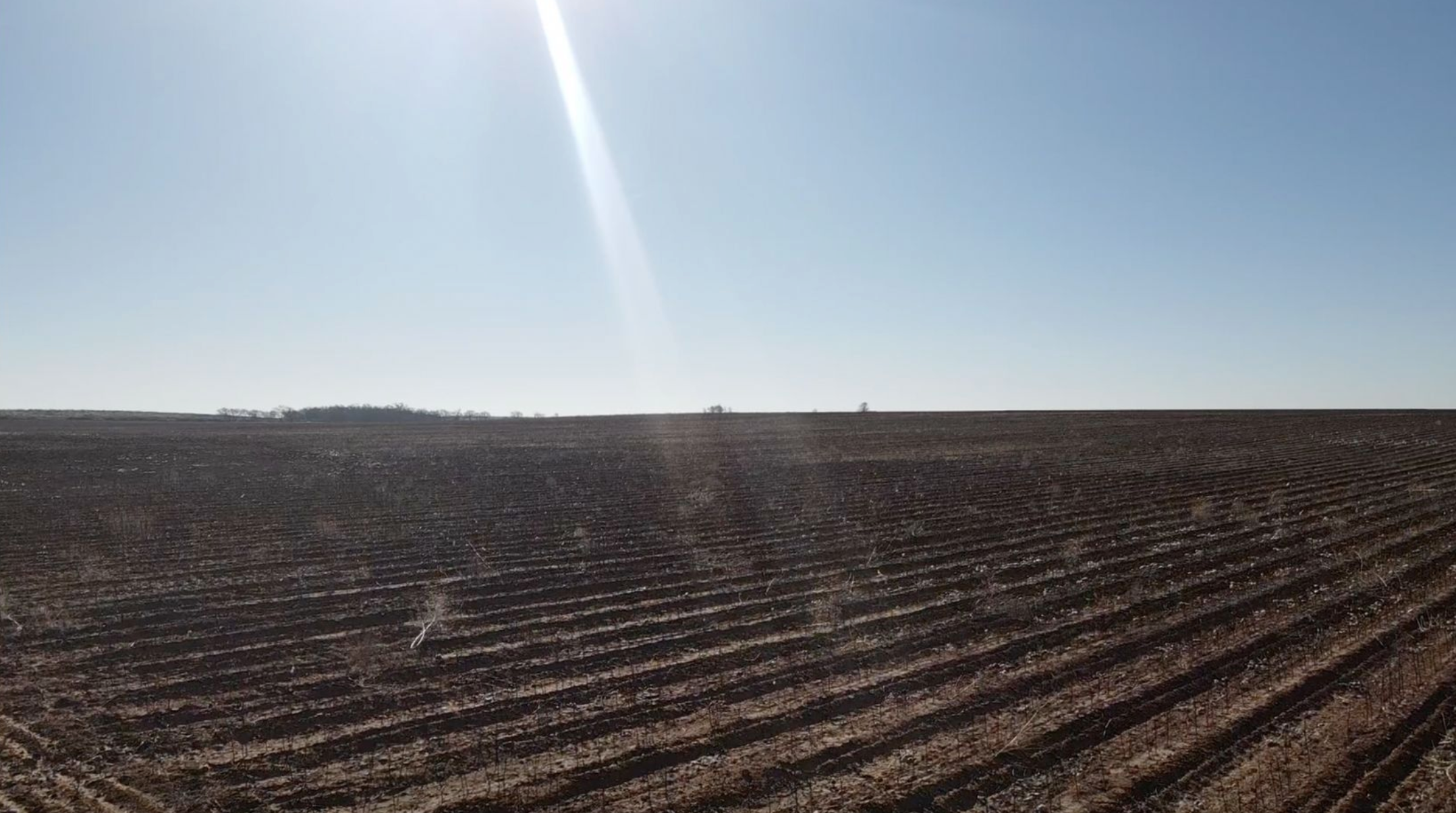 177.1± Acres – Lamb County (Sold)