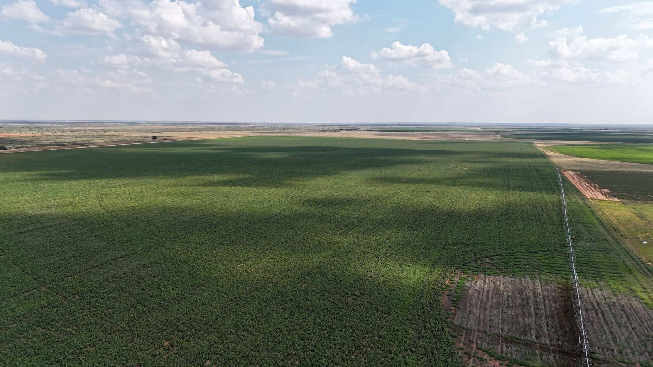 1040± Acres – Gaines County