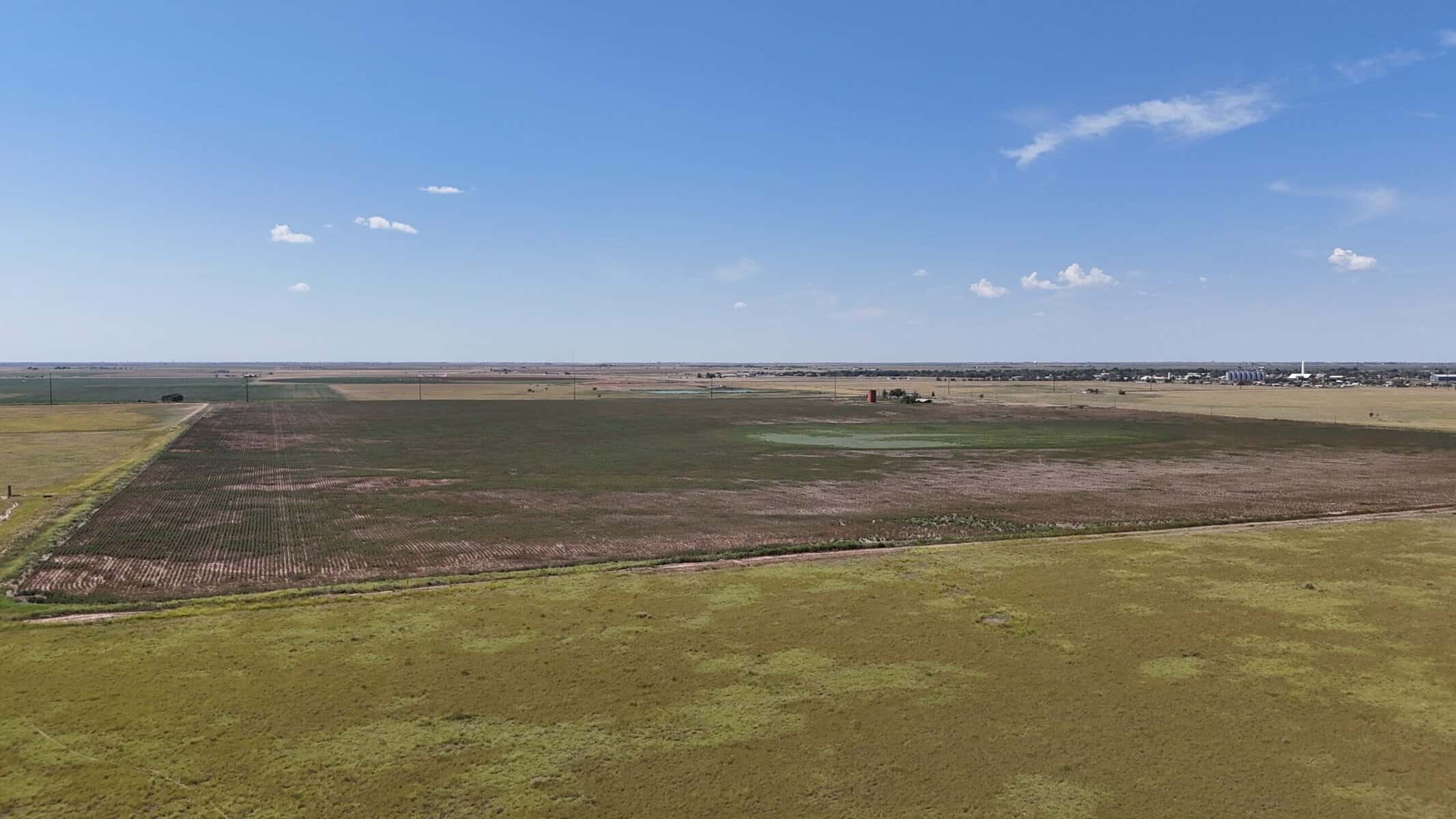 190± Acres – Hale County